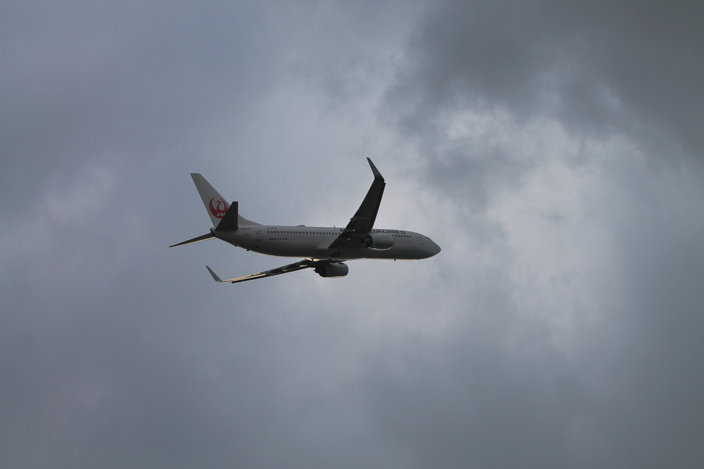JAL (3)