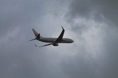 JAL (3)