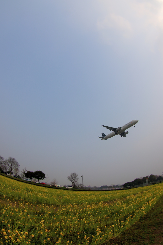 福岡空港RWY16側 (9)