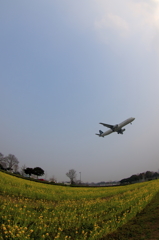 福岡空港RWY16側 (9)