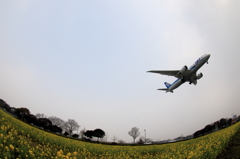 福岡空港RWY16側 (5)