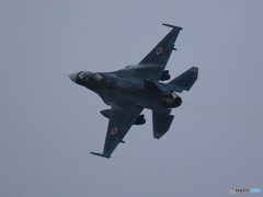 F2 (2)