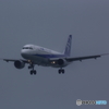 A320 (2)