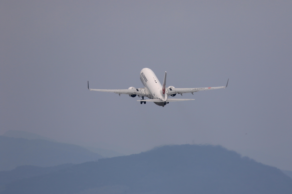 B737 (2)