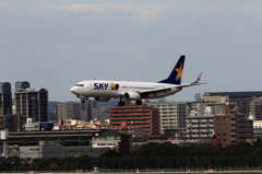 福岡空港2タミ (34)