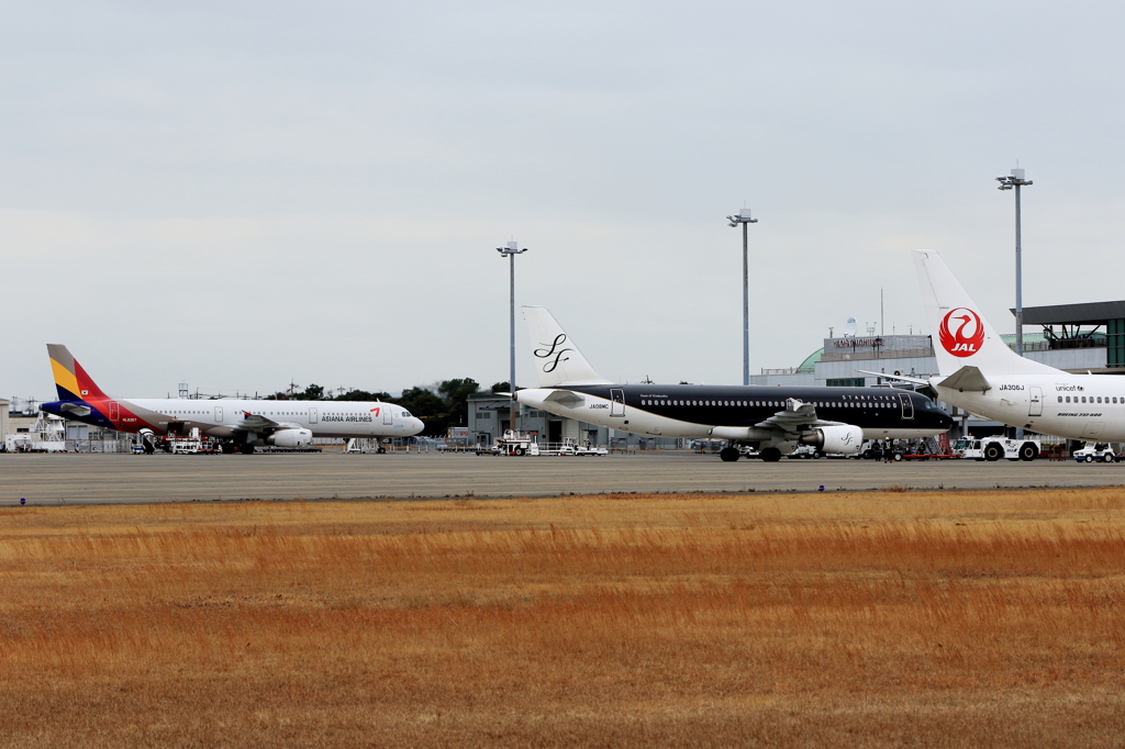 JAL&SFJ&ASIANA