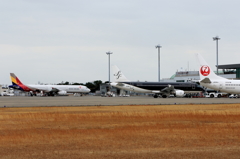 JAL&SFJ&ASIANA