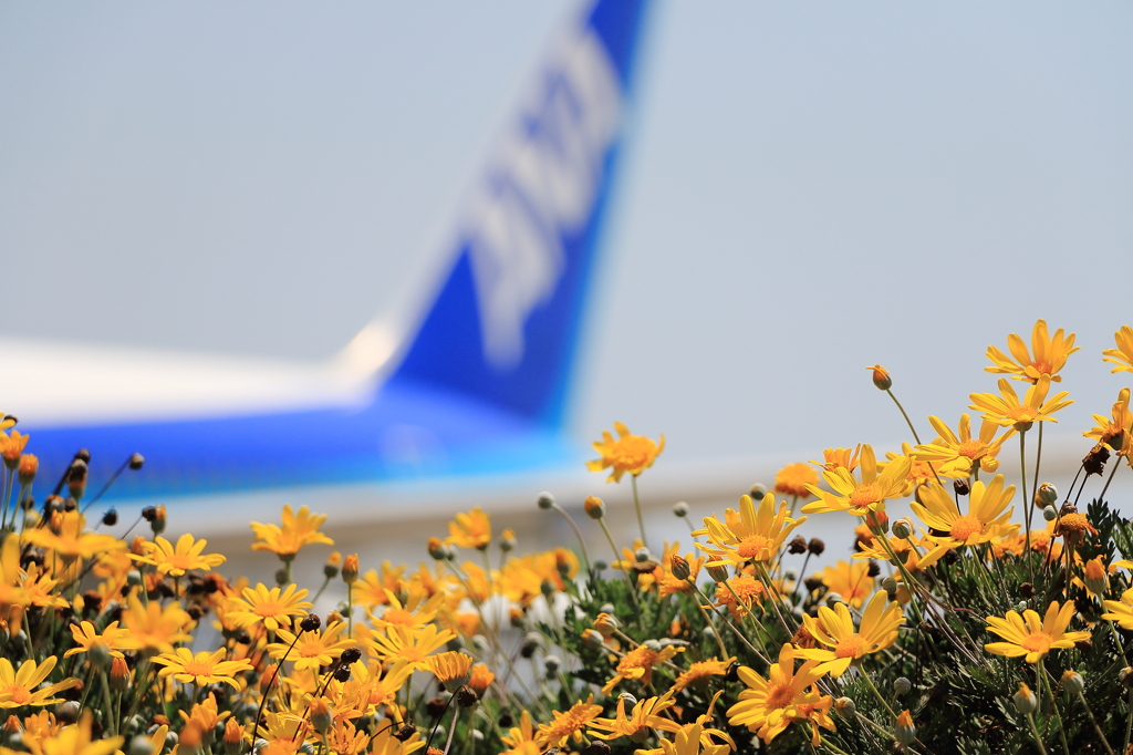 Boeing767