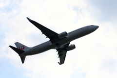 JAL (3)