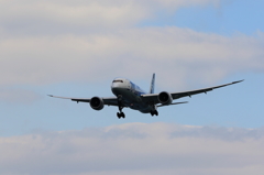 B787 (3)