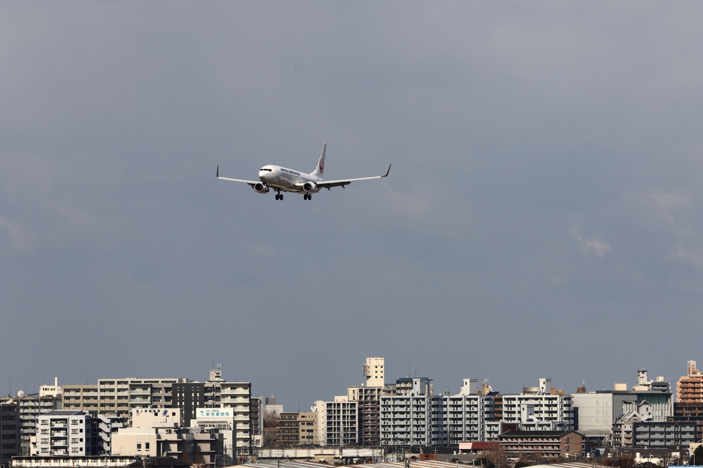 福岡空港2タミ (37)