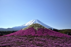 ダブル富士