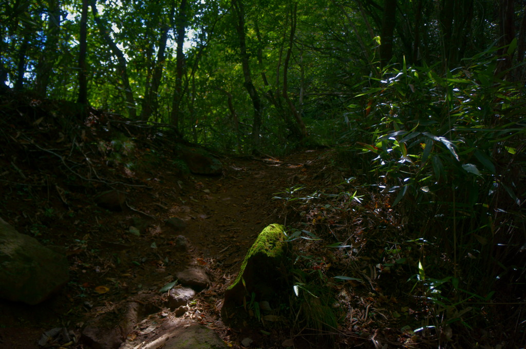 山道～荒船山～