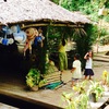 Loboc Riverの踊り子さん