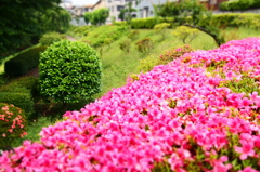 庭園