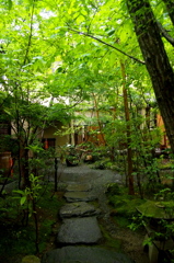 P5260558