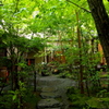 P5260558