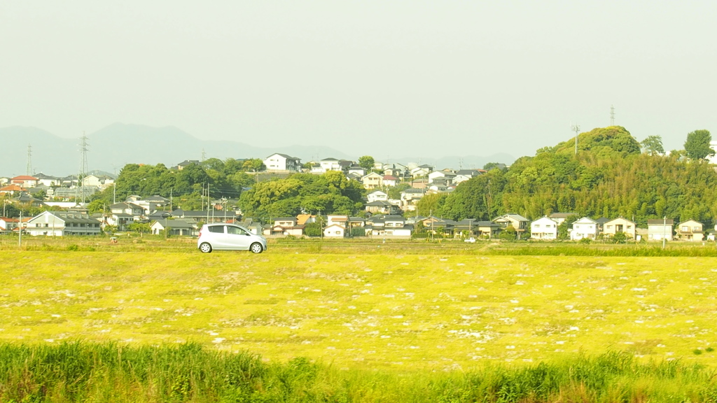 一本道
