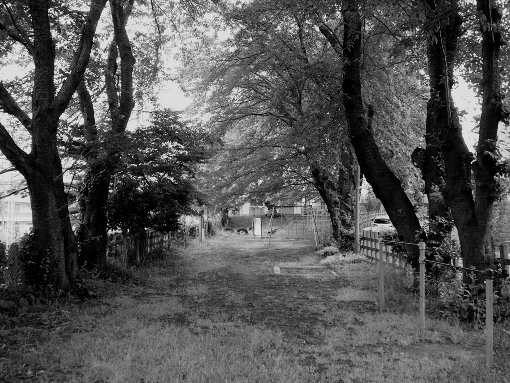 公園
