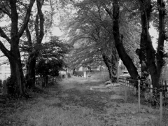 公園