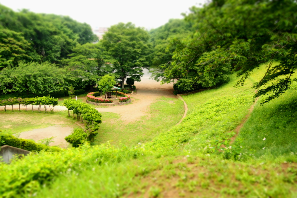 庭園 2