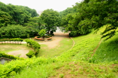 庭園 2