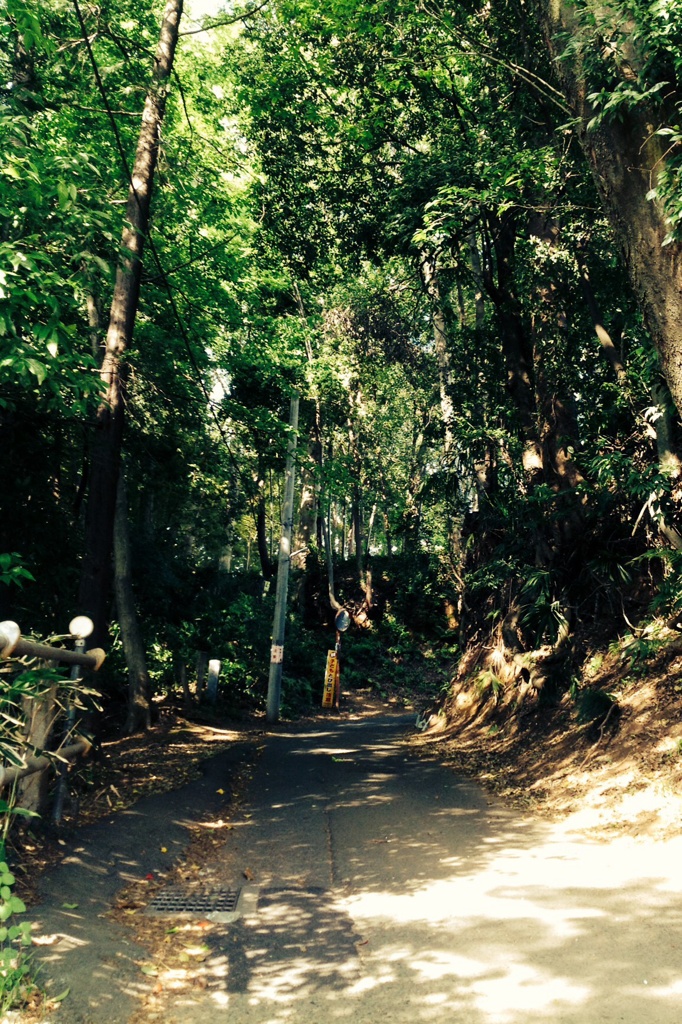 田舎道