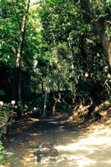 田舎道