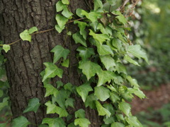 P5190072