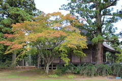 毛越寺