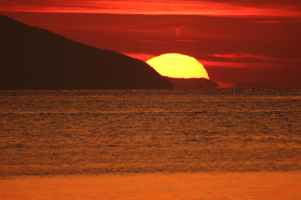 揺らめく夕日