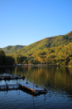 赤城神社  橋の上から