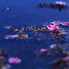 落ちてもなお美しい
