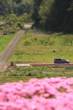田舎って素晴らしい