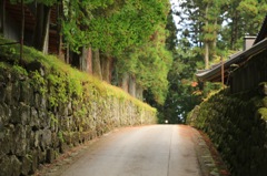 東照宮に続く道