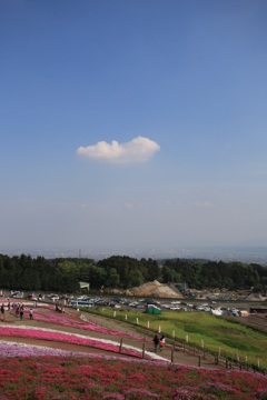 キン斗雲⁈