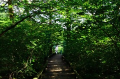吹割の滝に続く橋にて