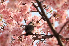 春風に吹かれながら