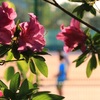 青春を彩る