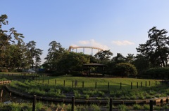 公園散歩