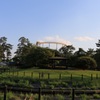 公園散歩