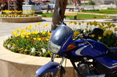 YAMAHA