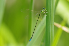 IMGP7855