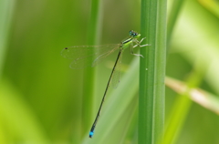 IMGP7858