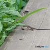 おっと！大きすぎ(^_^;)