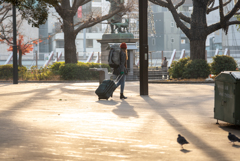 上野公園の朝