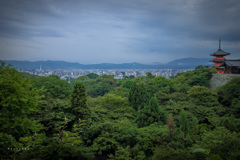 あの日の京都