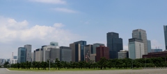 東京松並木