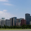 東京松並木