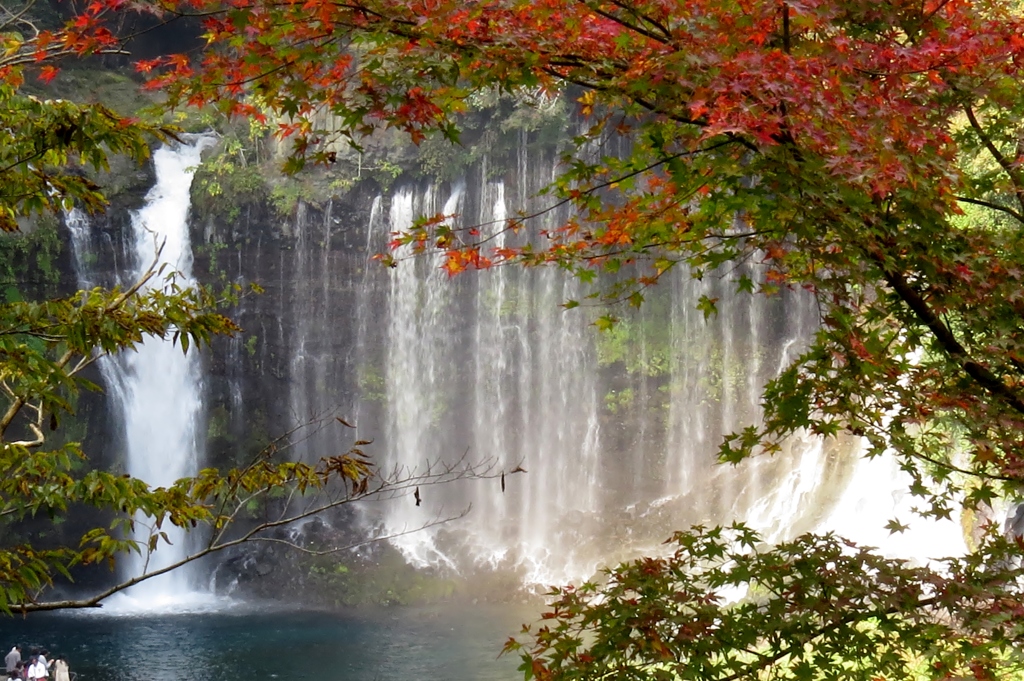 白糸に紅を添えて